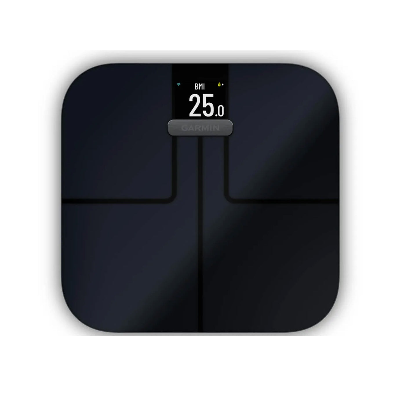 Diagnostiline Wi-Fi Saunakaal Garmin Smart Index S2 must
